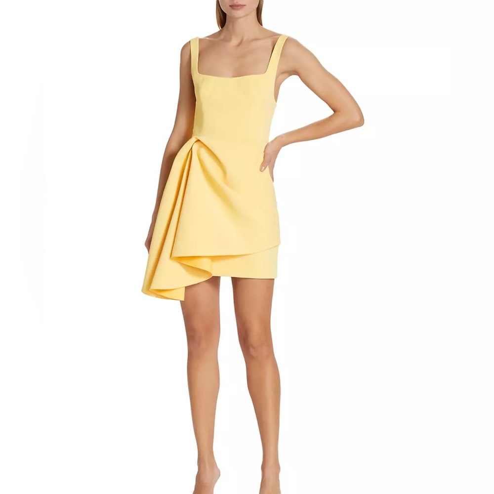 Acler Clarke Dress
